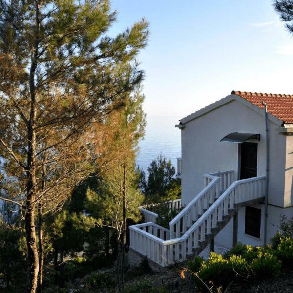 Villa Victor Babino Polje Kültér fotó